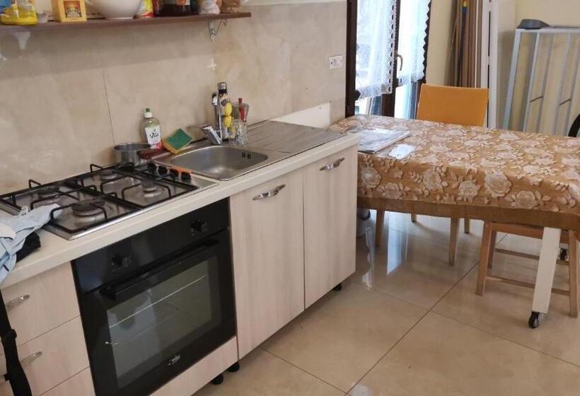 经典四人房间, 36619seiotto378