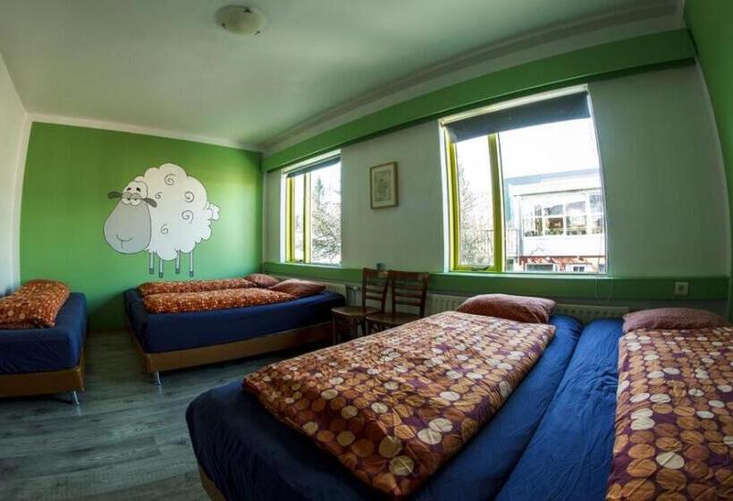 اتاق خانوادگی, Selfoss Hostel