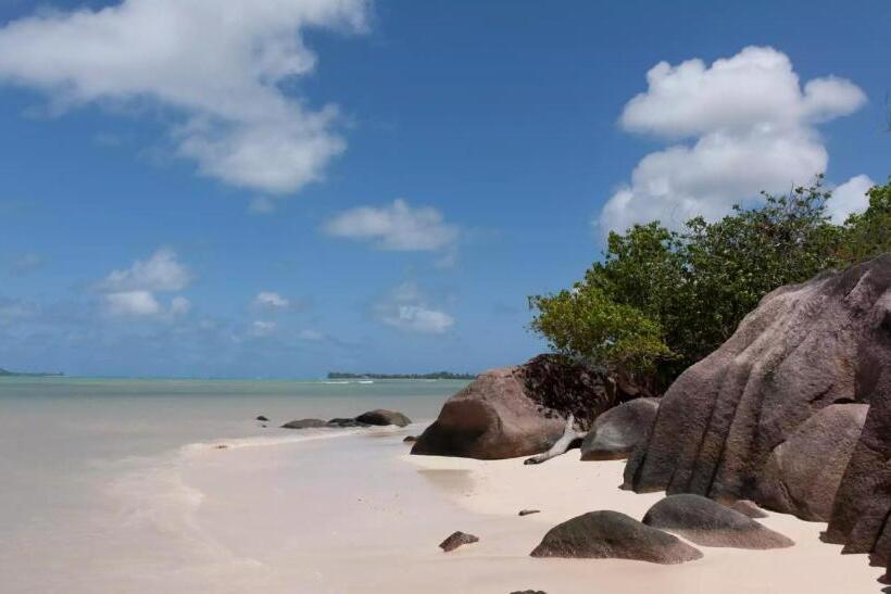 ویلای یک اتاق خوابه با استخر شنا, Villa Confort