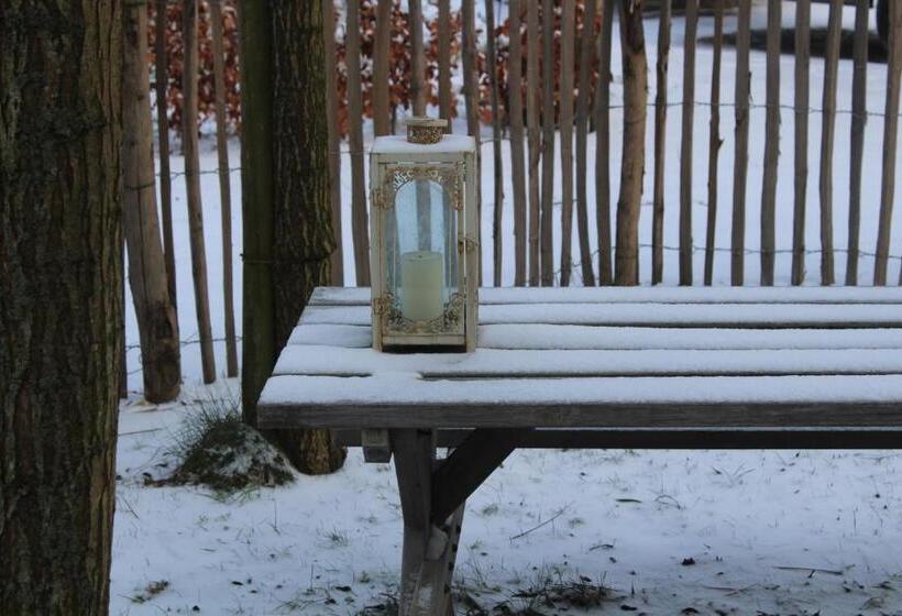 デラックスルーム, Saffels Nest