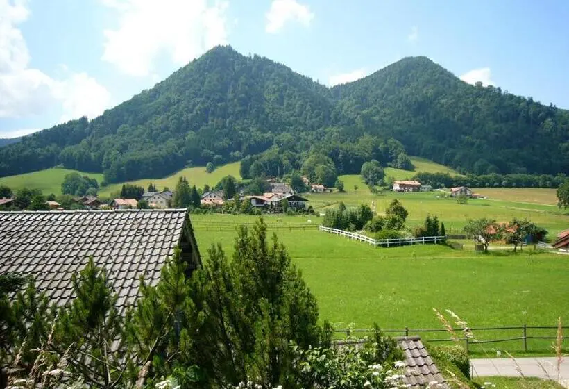 １ベッドルームアパートメント, Pension Bergblick