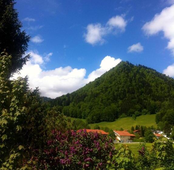 Camera Basic Singola, Pension Bergblick