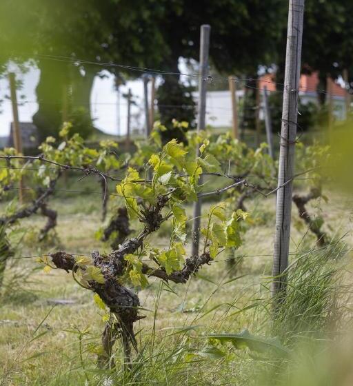 דירת חדר, Dal Gjestegaard