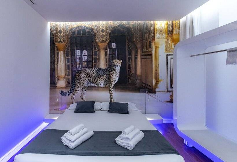 سوییت جونیور, Trevi Elite Rome