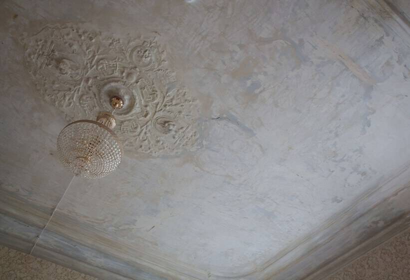 スーペリアールーム, Metropolis