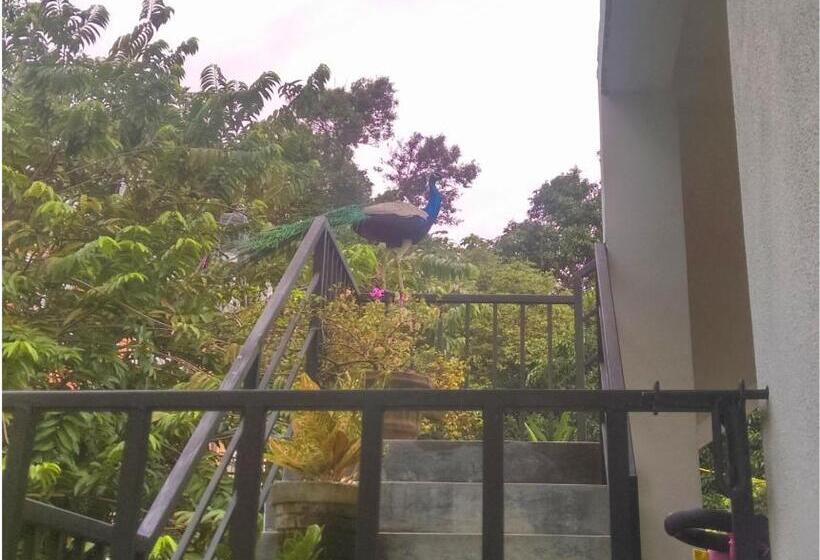 اتاق استاندارد سه نفره, Aluthgedara Guest House