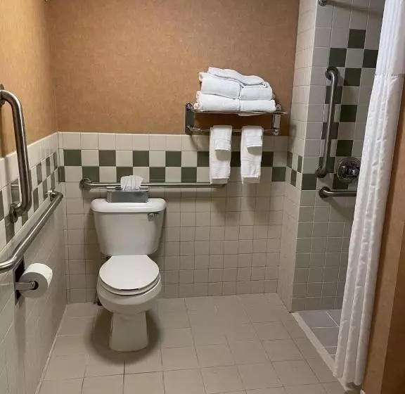 اتاق استاندارد با تخت بزرگ برای معلولان, Americinn By Wyndham Minocqua