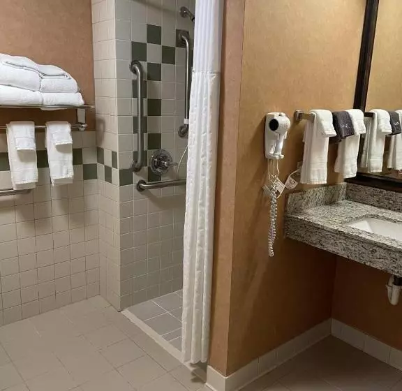 اتاق استاندارد با تخت بزرگ برای معلولان, Americinn By Wyndham Minocqua