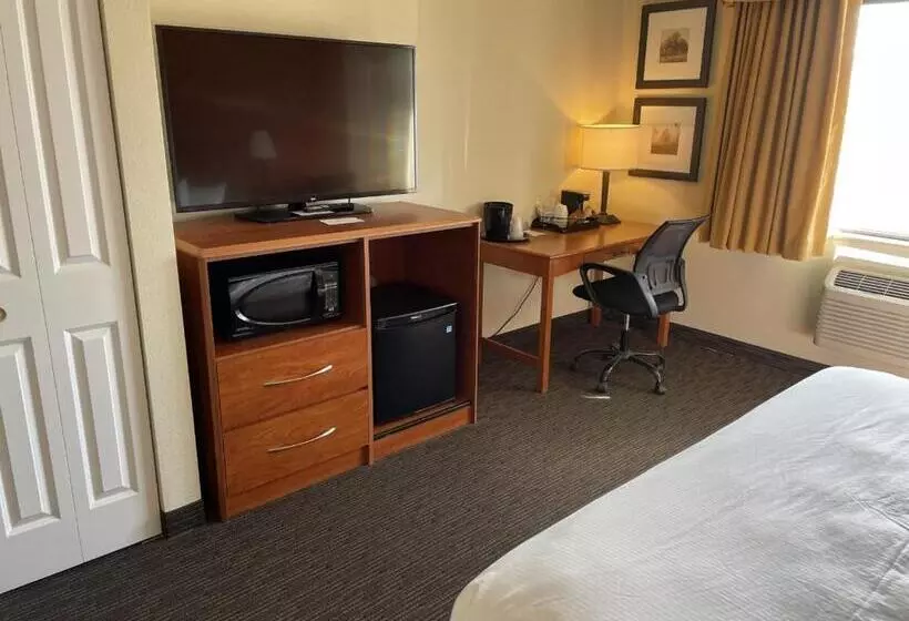 اتاق استاندارد با تخت بزرگ برای معلولان, Americinn By Wyndham Minocqua
