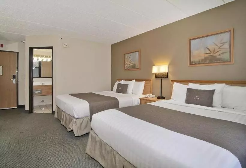 スタンダードルーム, Boarders Inn & Suites By Cobblestone Hotels   Faribault