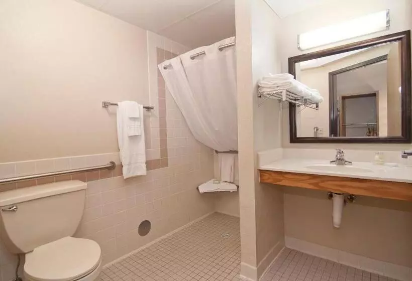 身障者適用シングルルーム, Boarders Inn & Suites By Cobblestone Hotels   Faribault