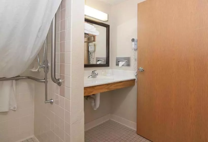 身障者適用シングルルーム, Boarders Inn & Suites By Cobblestone Hotels   Faribault