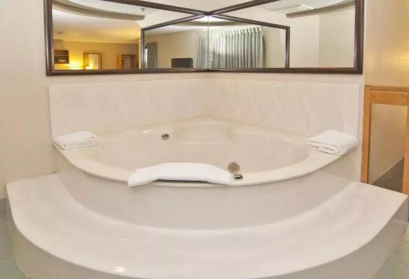スタンダードシングルルーム, Boarders Inn & Suites By Cobblestone Hotels   Faribault