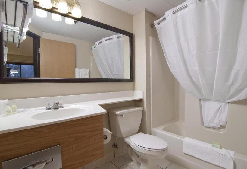 Family Suite, Boarders Inn & Suites By Cobblestone Hotels   Faribault