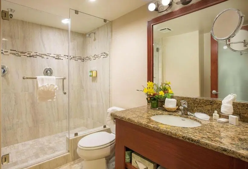 اتاق سوپریور با تخت بزرگ, Coast Burbank