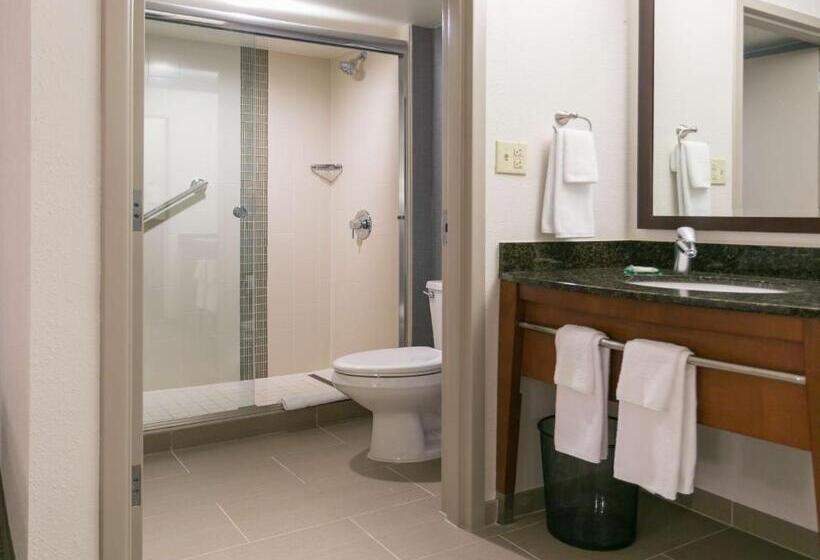 带大床的标准间, Hyatt Place Nashville Franklin Cool Springs