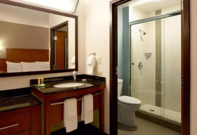 スタンダードルーム, Hyatt Place San Antonio Airport   Quarry Market