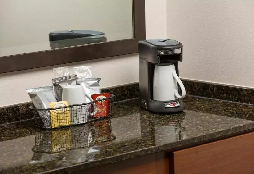 身障者適用キングサイズベッドルーム, Hyatt Place San Antonio Airport   Quarry Market