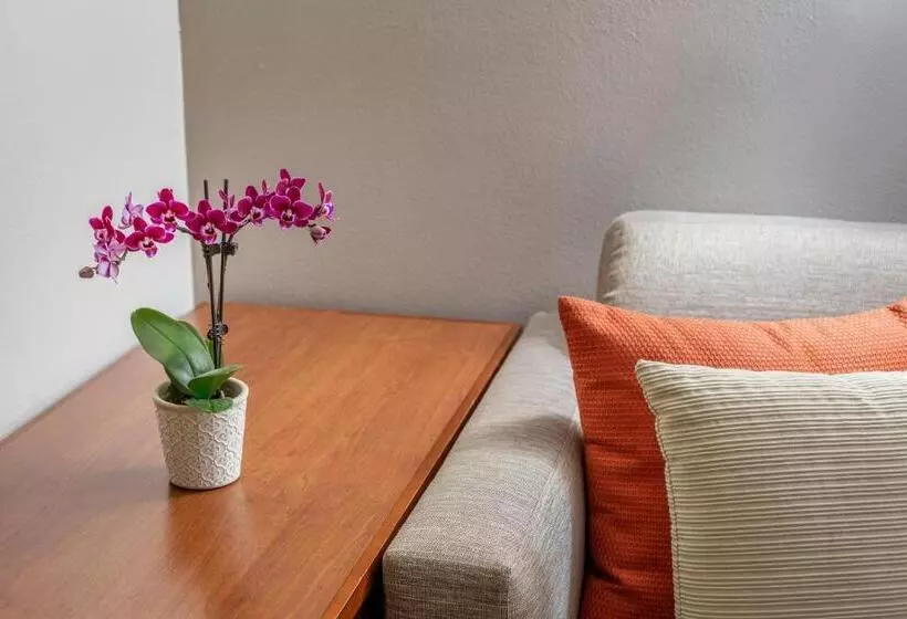 身障者適用スタンダードルーム, Hyatt Place San Antonio Airport   Quarry Market
