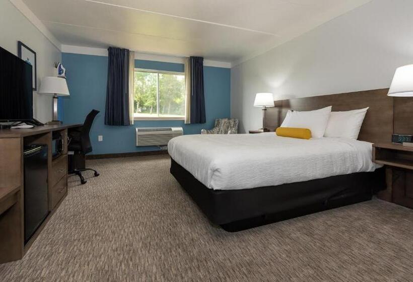 스탠다드 룸, Pommier Indianola