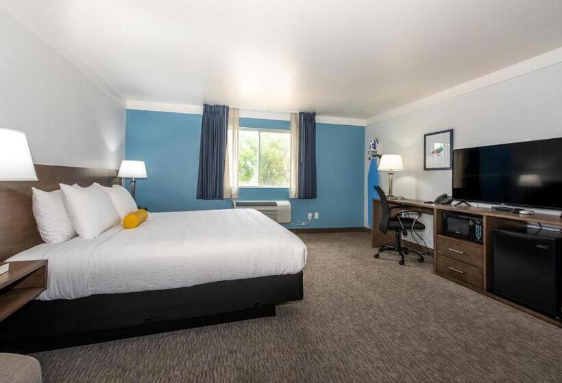 스탠다드 룸 킹사이즈 침대, Pommier Indianola