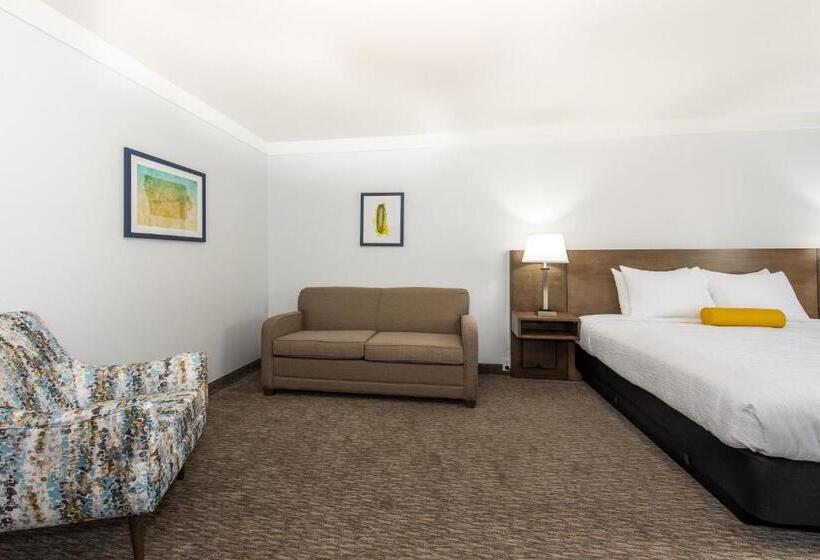 스탠다드 룸 킹사이즈 침대, Pommier Indianola