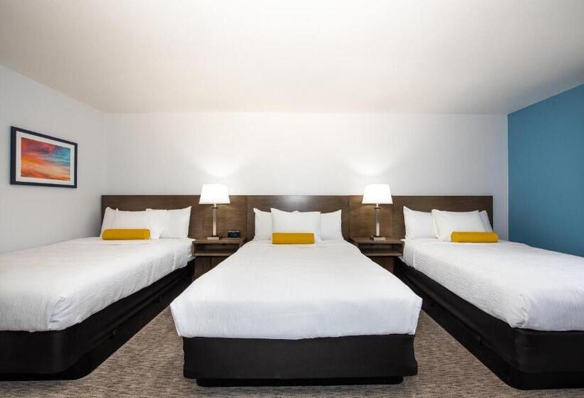 스탠다드 트리플 룸, Pommier Indianola