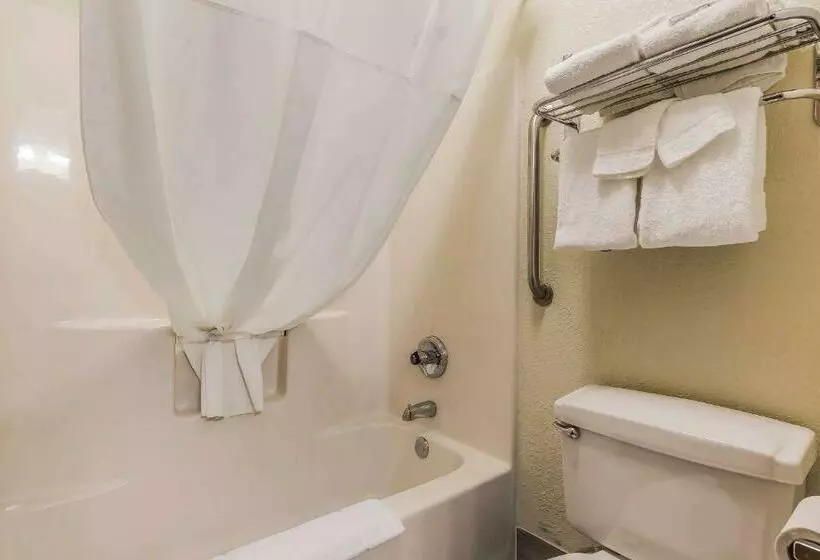 Standard-huone 2 Parivuodetta, Quality Inn Sycamore   Dekalb