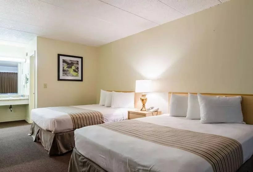 ２ダブルベッドのスタンダードルーム, Extended Stay America Bellevue