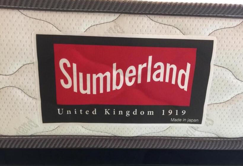 غرفة إقتصادية, Kinosaki Onsen Hanakouji Saigetsu