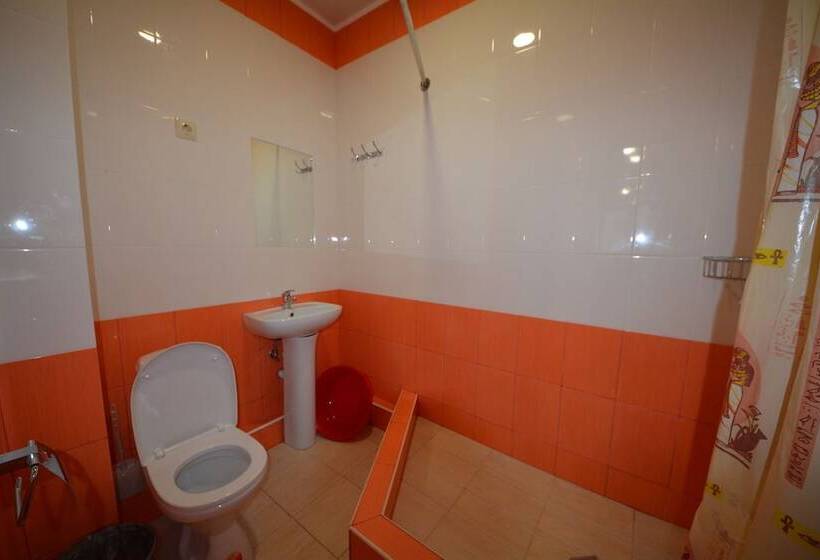 Люкс с Террасой, Guest House Irina