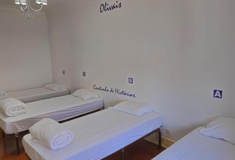 اتاق استاندارد چهارنفره با سرویس بهداشتی مشترک, Brother S Rooms