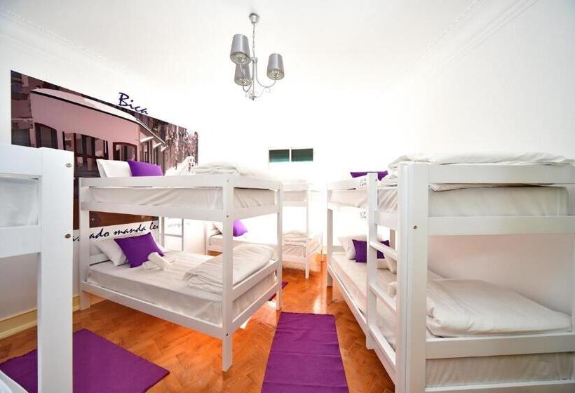اتاق خانوادگی با سرویس بهداشتی مشترک, Brother S Rooms