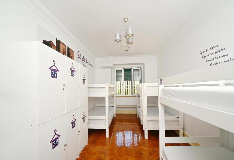 اتاق سوپریور خانوادگی, Brother S Rooms