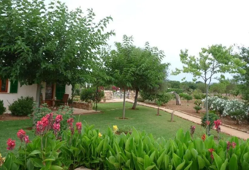 Bungalow Estàndard Vista Jardí, Son Capellot