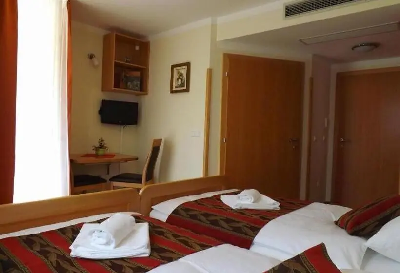エコノミールーム, B&b Pansion Vago