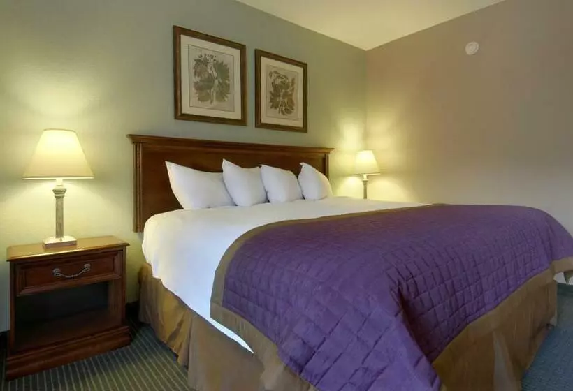 身障者適用スタンダードルーム, Bay Mountain Inn Cherokee Smoky Mountains