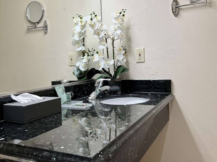 스탠다드 발코니 룸, Best Western Americana