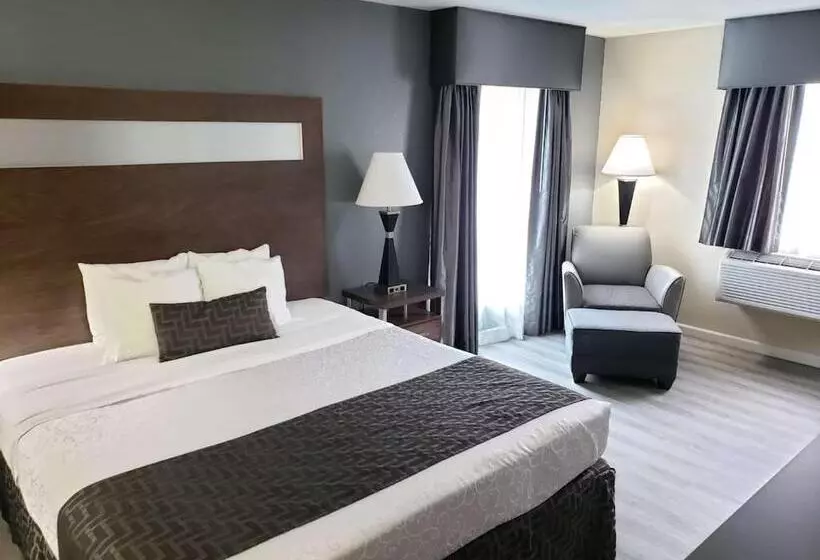 اتاق استاندارد با تخت بزرگ, Best Western Americana