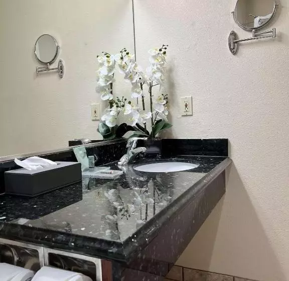 اتاق استاندارد با تخت بزرگ برای معلولان, Best Western Americana