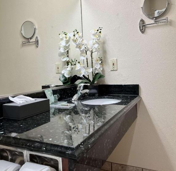 스탠다드 발코니 룸, Best Western Americana