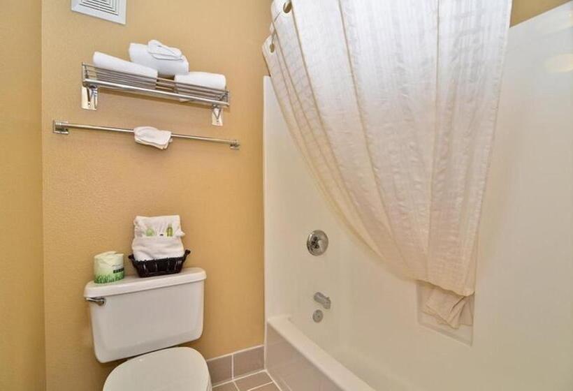 חדר סטנדרט עם מיטת קינג, Best Western Fallon Inn & Suites