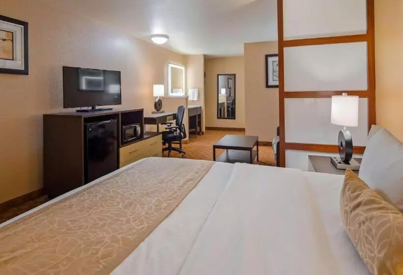身障者適用キングサイズベッドルーム, Best Western Fallon Inn & Suites
