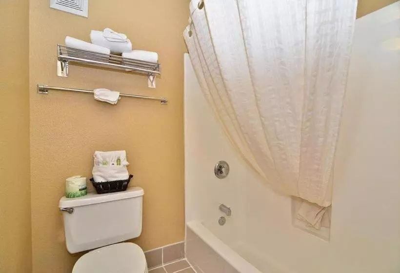 スタンダードルーム, Best Western Fallon Inn & Suites