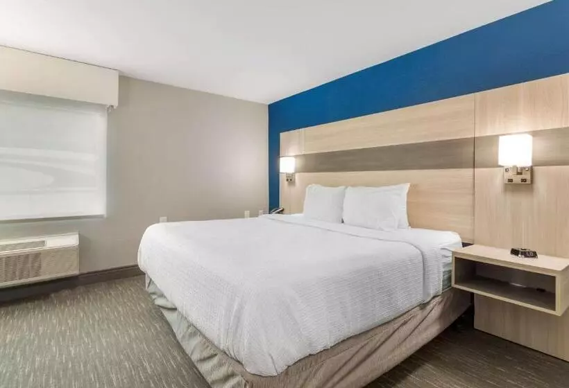 身障者適用キングサイズベッドルーム, Best Western Plus Magnolia Inn & Suites