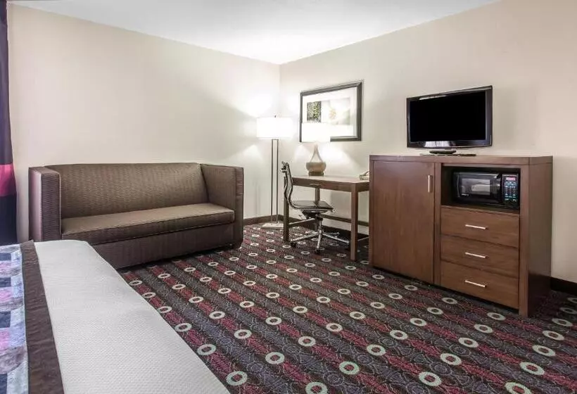 Standard-huone 2 Parivuodetta, Comfort Inn Midtown
