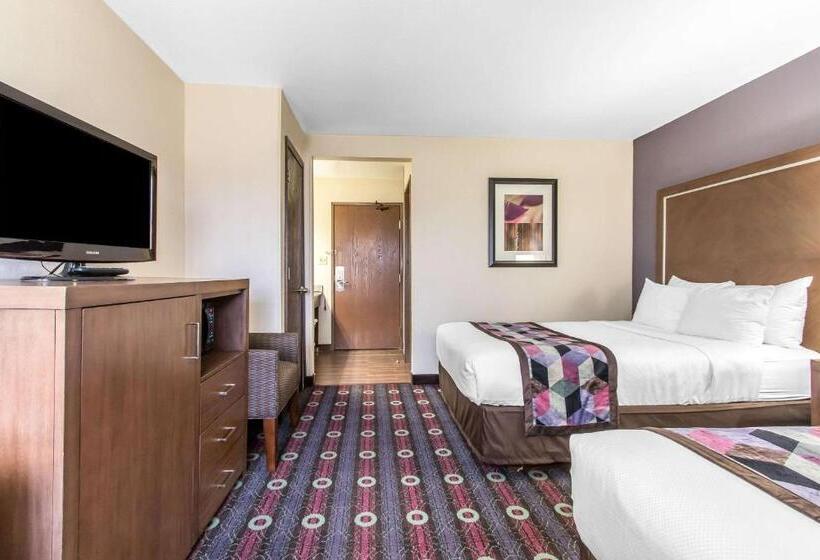 غرفه قياسيه سريرين مزدوجين, Comfort Inn Midtown