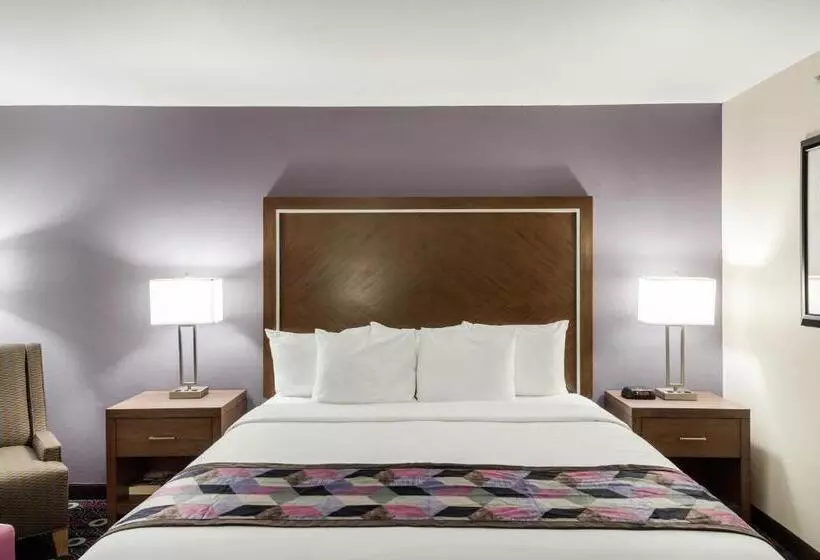 Sviitti King-vuode, Comfort Inn Midtown