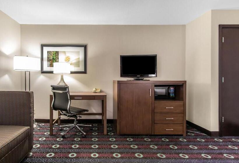 キングサイズベッドのスイートルーム, Comfort Inn Midtown