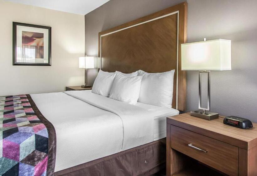 キングサイズベッドのスイートルーム, Comfort Inn Midtown